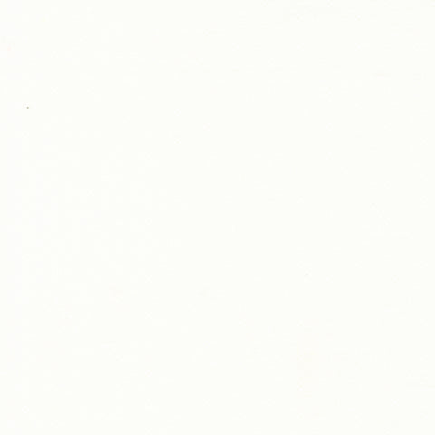 Eyelet Ivory Basics Yardage by Fig Tree & Co. for Moda Fabrics