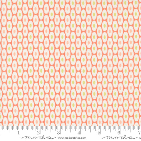 Jelly & Jam Rhubarb Jellies Yardage by Fig Tree & Co. for Moda Fabrics