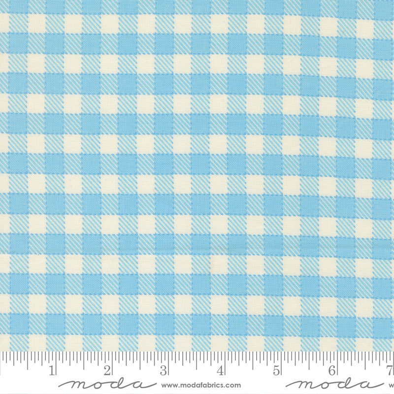 Animal Park Fun Sky Baby Check Yardage by Stacy Iest Hsu for Moda Fabrics