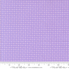 Fab Boo Lous Grape Soda Spooky Gingham Yardage by Me & My Sister for Moda Fabrics