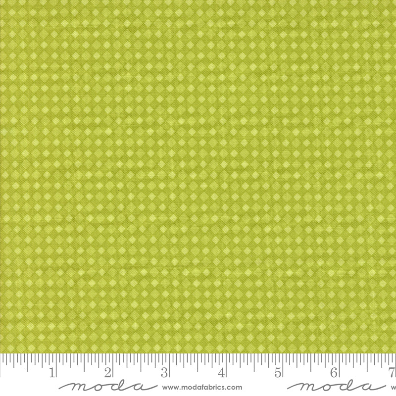 Fab Boo Lous Green Slime Spooky Gingham Yardage by Me & My Sister for Moda Fabrics