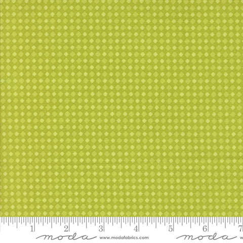 Fab Boo Lous Green Slime Spooky Gingham Yardage by Me & My Sister for Moda Fabrics