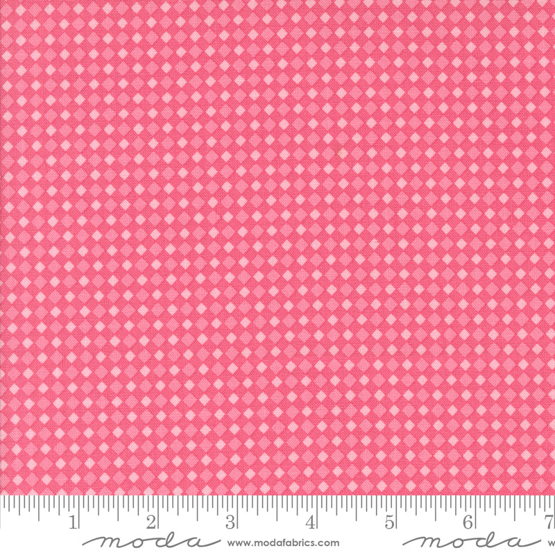 Fab Boo Lous Hot Pink Spooky Gingham Yardage by Me & My Sister for Moda Fabrics