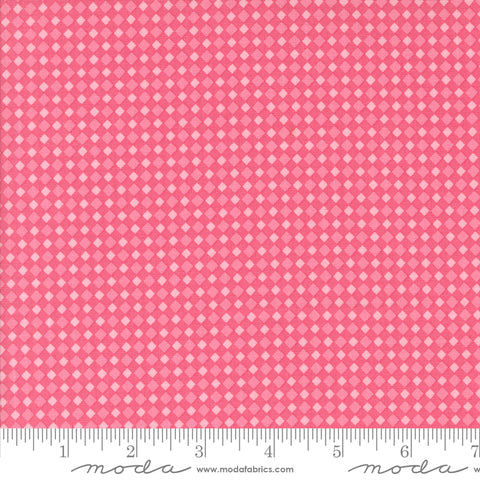 Fab Boo Lous Hot Pink Spooky Gingham Yardage by Me & My Sister for Moda Fabrics