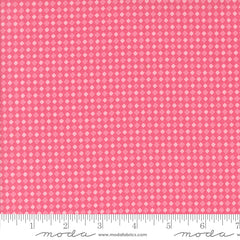 Fab Boo Lous Hot Pink Spooky Gingham Yardage by Me & My Sister for Moda Fabrics