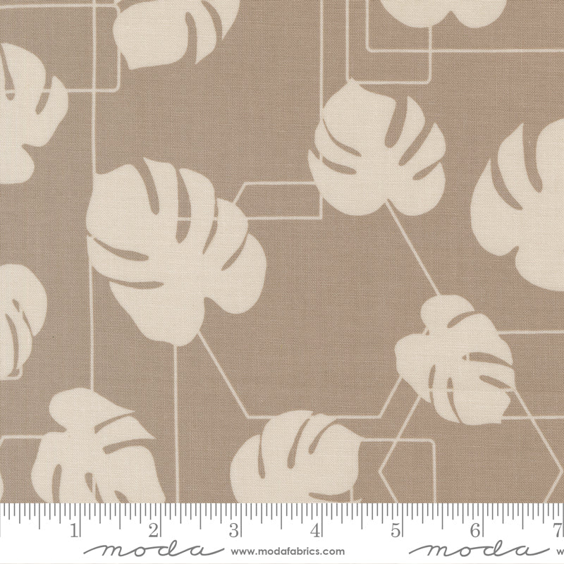 Potted Ash Monstera Geo Yardage by Kiley's Quilt Room for Moda Fabrics