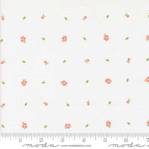 Abloom Cloud Little Sprout Yardage by Corey Yoder for Moda Fabrics