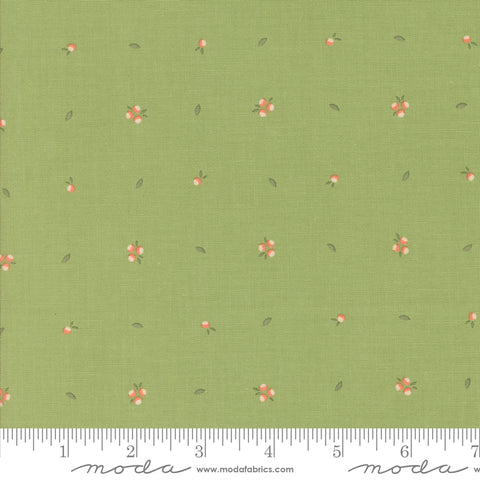 Abloom Cucumber Little Sprout Yardage by Corey Yoder for Moda Fabrics