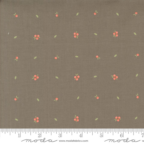 Abloom Slate Little Sprout Yardage by Corey Yoder for Moda Fabrics