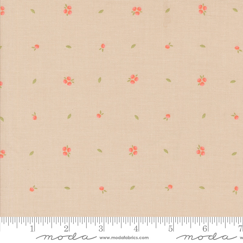 Abloom Stone Little Sprout Yardage by Corey Yoder for Moda Fabrics