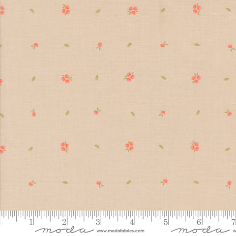 Abloom Stone Little Sprout Yardage by Corey Yoder for Moda Fabrics