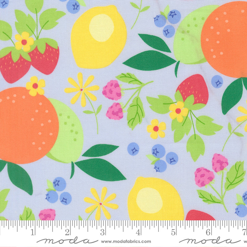 Fruit Salad Light Blue Fruits Yardage by Corey Yoder for Moda Fabrics