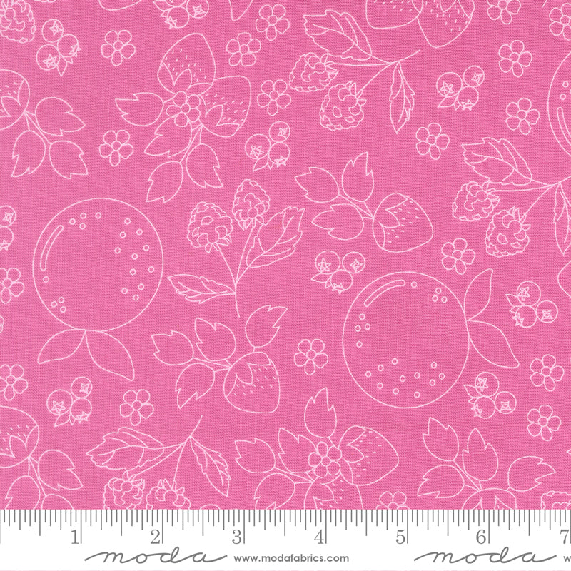 Fruit Salad Petal Pink Fruit Sketch Yardage by Corey Yoder for Moda Fabrics