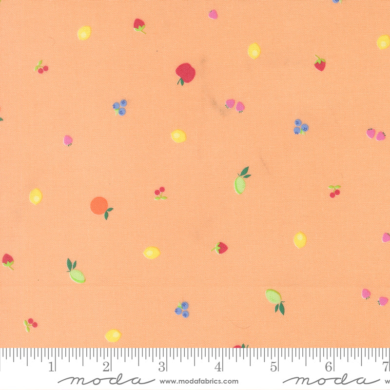 Fruit Salad Cantaloupe Fruit Snack Yardage by Corey Yoder for Moda Fabrics