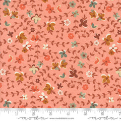 Acorn Hollow Apple Gather Yardage by Basic Grey for Moda Fabrics