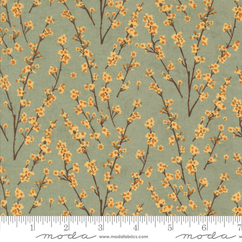 Acorn Hollow Sage Twiggy Yardage by Basic Grey for Moda Fabrics