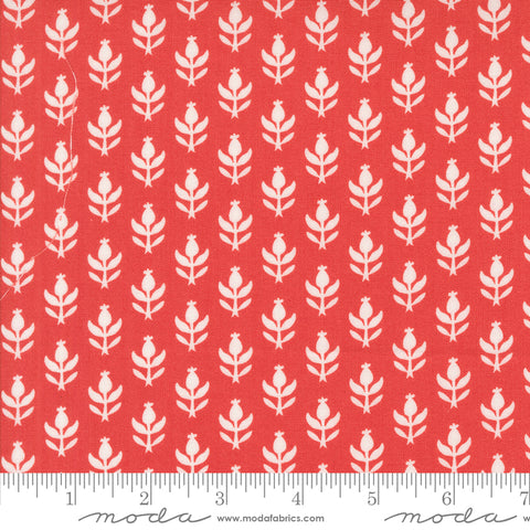 Buon Natale Poinsettia Christmas Thistle Yardage by Fig Tree & Co. for Moda Fabrics