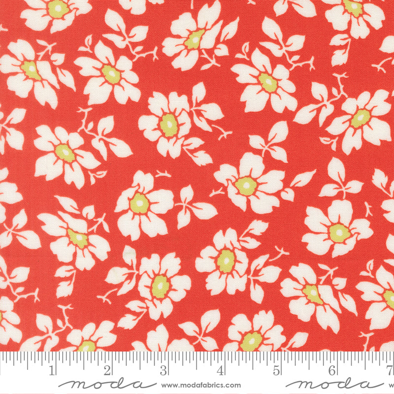 Summer's End Persimmon Cosmos Yardage by Fig Tree & Co. for Moda Fabrics