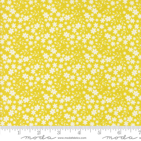 Raspberry Summer Summer Blossom Yardage by Sherri & Chelsi for Moda Fabrics