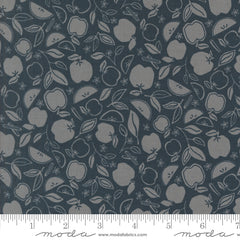 Rainier Deep Sea Apple Crisp Yardage by Jessica Rose for Moda Fabrics