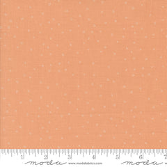 Rainier Peach Puddle Jumpers Yardage by Jessica Rose for Moda Fabrics