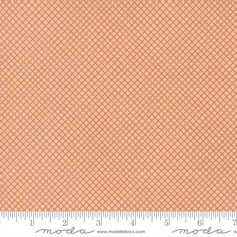 Quaint Cottage Rose Cross Check Yardage by Gingiber for Moda Fabrics
