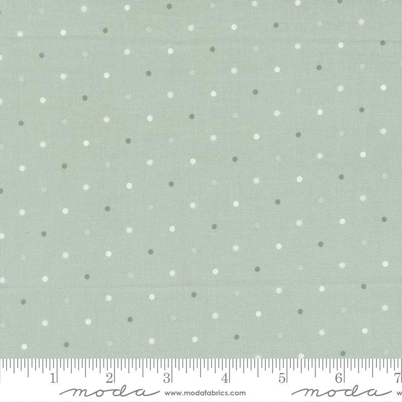 True Love Robins Egg Magic Dot Yardage by Lella Boutique for Moda Fabrics