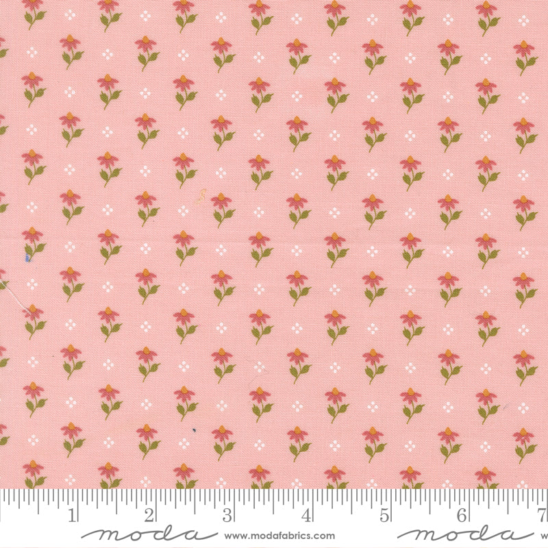 Wild Honey Carnation Bumbling Posies Yardage by Lella Boutique for Moda Fabrics