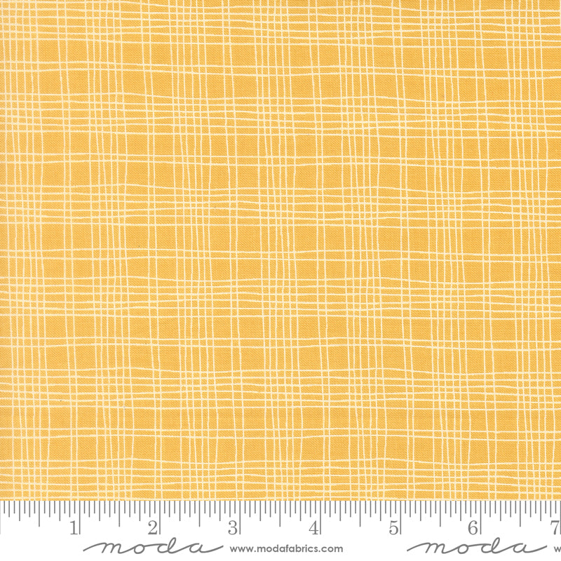 Bug Collector Sunshine Plaid Yardage by Sweetwater for Moda Fabrics
