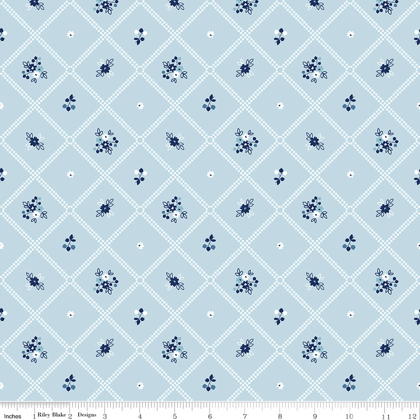 Simply Country Blue Dot Grid Yardage by Tasha Noel for Riley Blake Designs
