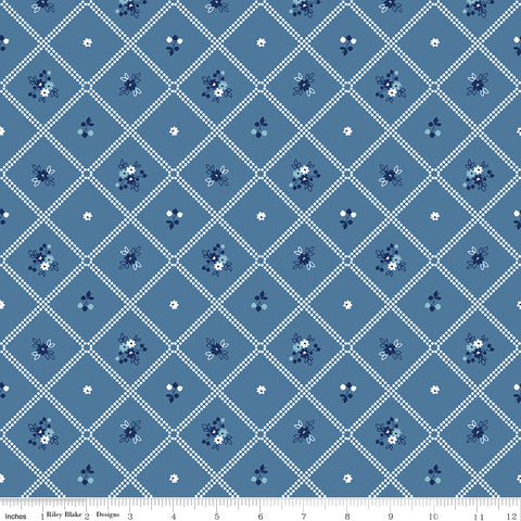 Simply Country Denim Dot Grid Yardage by Tasha Noel for Riley Blake Designs