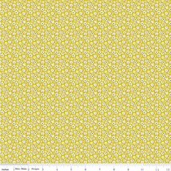Feed My Soul Pear Daisies Yardage by Sandy Gervais for Riley Blake Designs