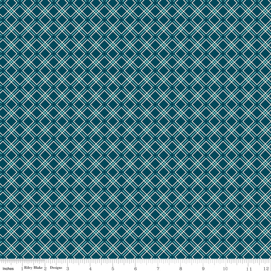 Feed My Soul Navy Geo Yardage by Sandy Gervais for Riley Blake Designs