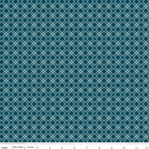 Feed My Soul Navy Geo Yardage by Sandy Gervais for Riley Blake Designs