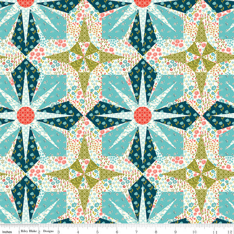 Feed My Soul Cheater Print Yardage by Sandy Gervais for Riley Blake Designs
