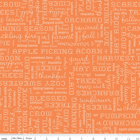 Autumn Pumpkin Words Yardage by Lori Holt for Riley Blake Designs