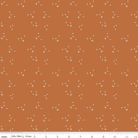 Pumpkin Spice Spice Sparkle Yardage by Simple Simon & Co. for Riley Blake Designs