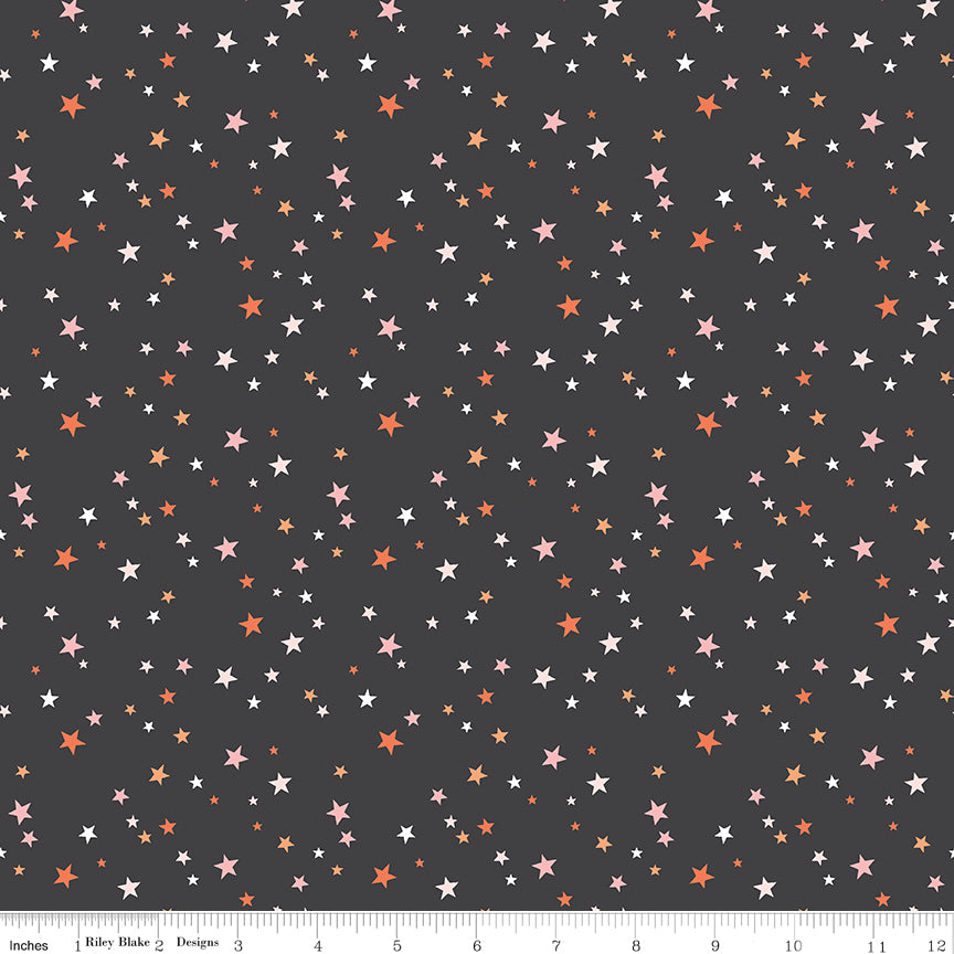 Hey Pumpkin Charcoal Stars Yardage by My Mind's Eye for Riley Blake Designs