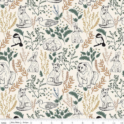 Let's Wander Cream Main Yardage by Casey Cometti for Riley Blake Designs