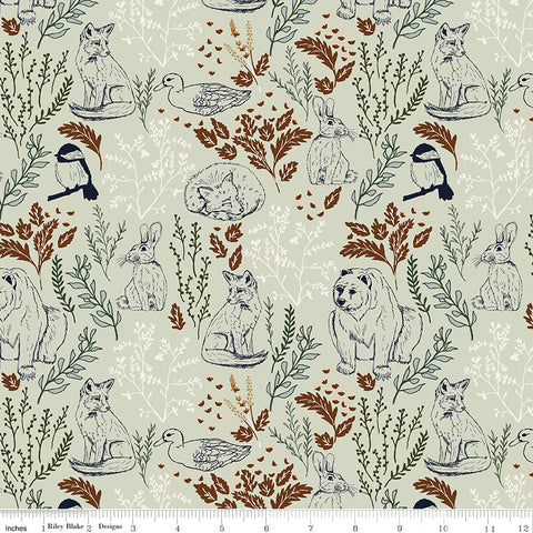 Let's Wander Mist Main Yardage by Casey Cometti for Riley Blake Designs