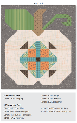 Autumn Quilt Seeds Pumpkin #7 Pattern by Lori Holt of Bee in my Bonnet