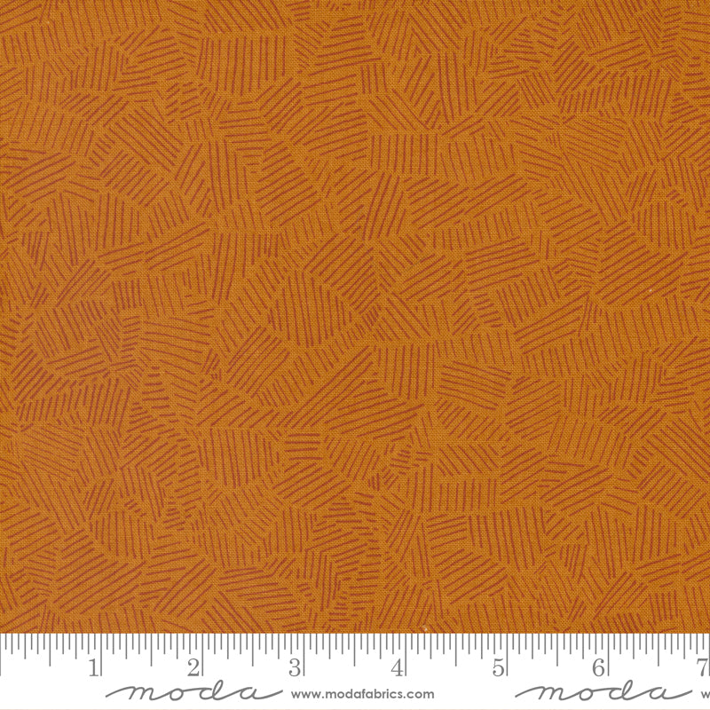 Meander Saddle Field Yardage by Aneela Hoey for Moda Fabrics