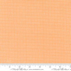 Simply Delightful Apricot Waffle Yardage by Sherri & Chelsi for Moda Fabrics