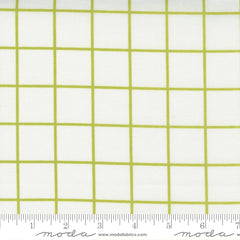 One Fine Day Ivory Green Windowpane Yardage by Bonnie & Camille for Moda Fabrics