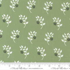 Dwell Grass Homebody Yardage by Camille Roskelley for Moda Fabrics