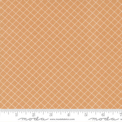 Sunnyside Apricot Graph Yardage by Camille Roskelley for Moda Fabrics