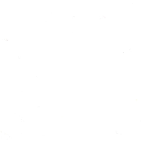 Bella Solids Off White Yardage by Moda Fabrics