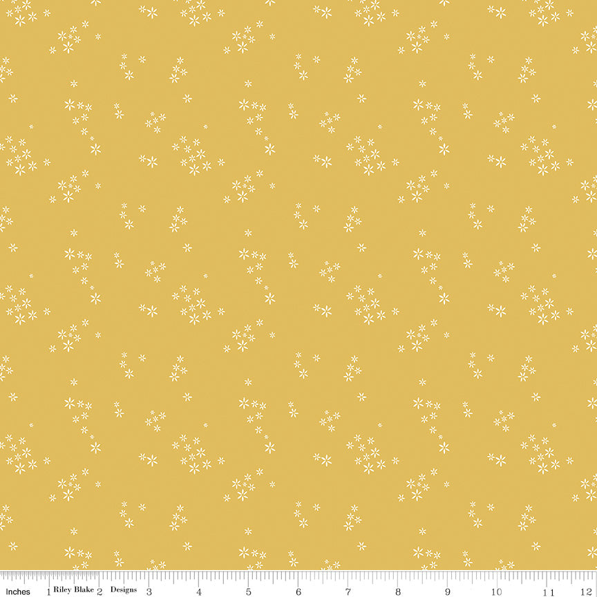 Daybreak Daisy Seeds Yardage by Fran Gulick for Riley Blake Designs