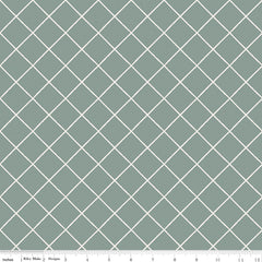 Elegance Sage Essential Yardage by Corinne Wells for Riley Blake Designs