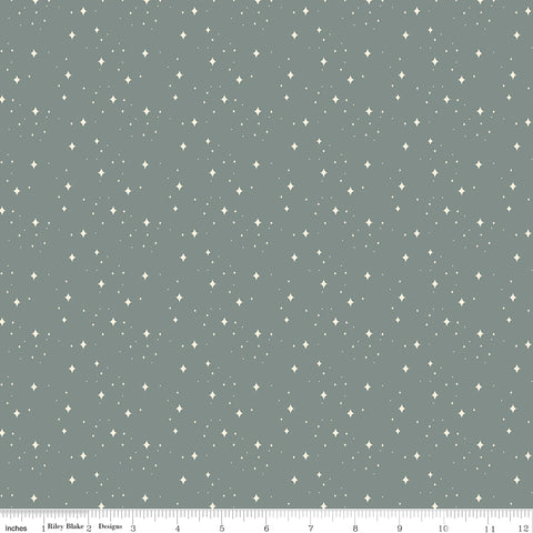 Elegance Sage Eternal Yardage by Corinne Wells for Riley Blake Designs